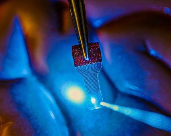 Justin Williams Research Group