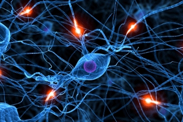 iStockphoto.com/Eraxion