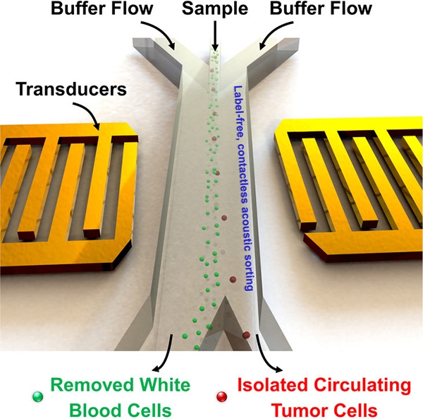 Carnegie Mellon University