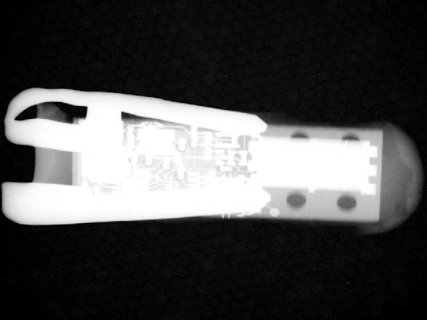 Jenny Haupt, Cody Cleveland et Phillip Nadeau