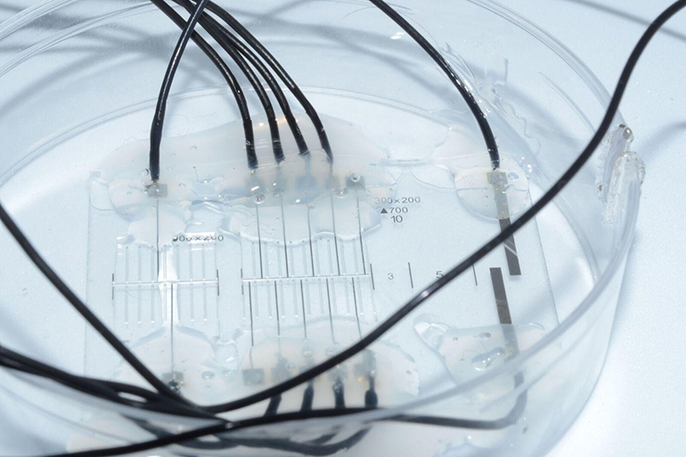 Florent-Valéry Cohen