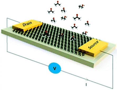 Université d’Exeter